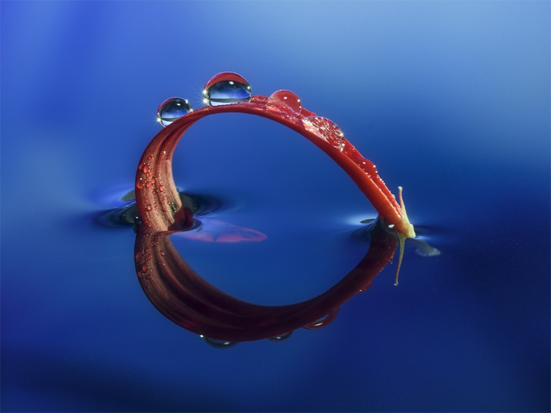 總氮檢測(cè)儀使用方法（北京總氮檢測(cè)儀哪家強(qiáng)）