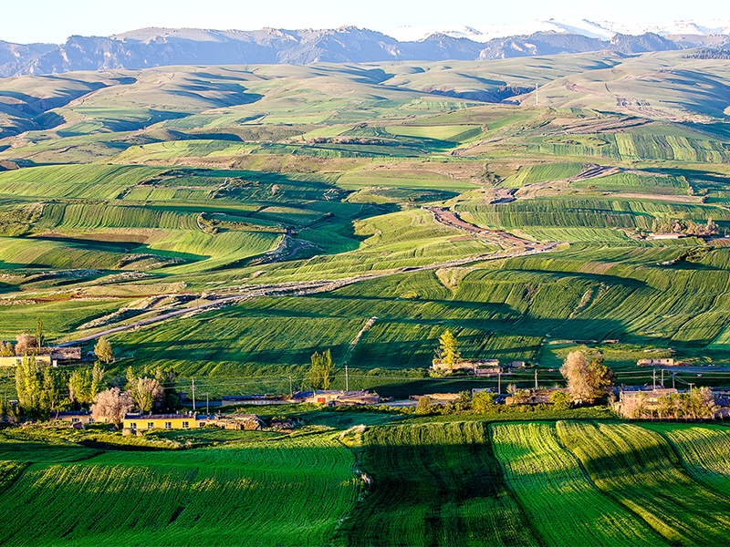 土壤有機(jī)質(zhì)與土壤肥力的關(guān)系（土壤有機(jī)質(zhì)含量測(cè)定方法）