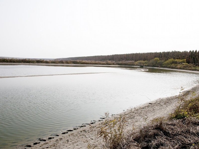 水質(zhì)總磷檢測(cè)儀原理 水質(zhì)總磷檢測(cè)儀原理