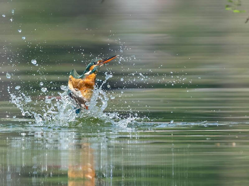 地表水環(huán)境質(zhì)量穩(wěn)步改善