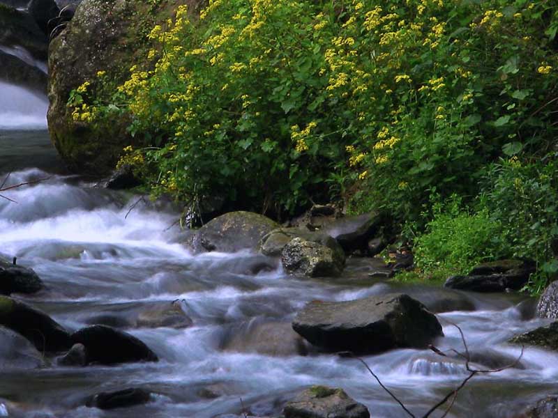 最新地表水水質(zhì)監(jiān)測(cè)數(shù)據(jù)統(tǒng)計(jì)（全國(guó)哪里地表水水質(zhì)監(jiān)測(cè)不合格）