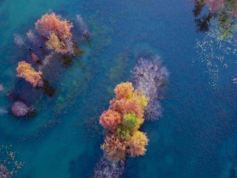 飲用水水質(zhì)監(jiān)測(cè)指標(biāo)有哪些（江蘇濱海縣5月生活飲用水水質(zhì)監(jiān)測(cè)結(jié)果）