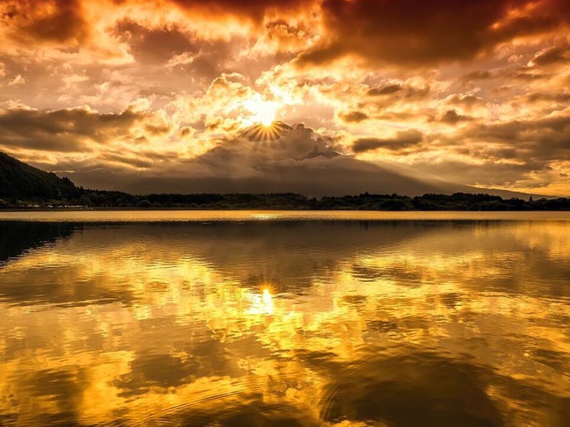 水質(zhì)大腸桿菌在線監(jiān)測儀價格(水質(zhì)大腸桿菌在線監(jiān)測儀技術(shù)參數(shù))