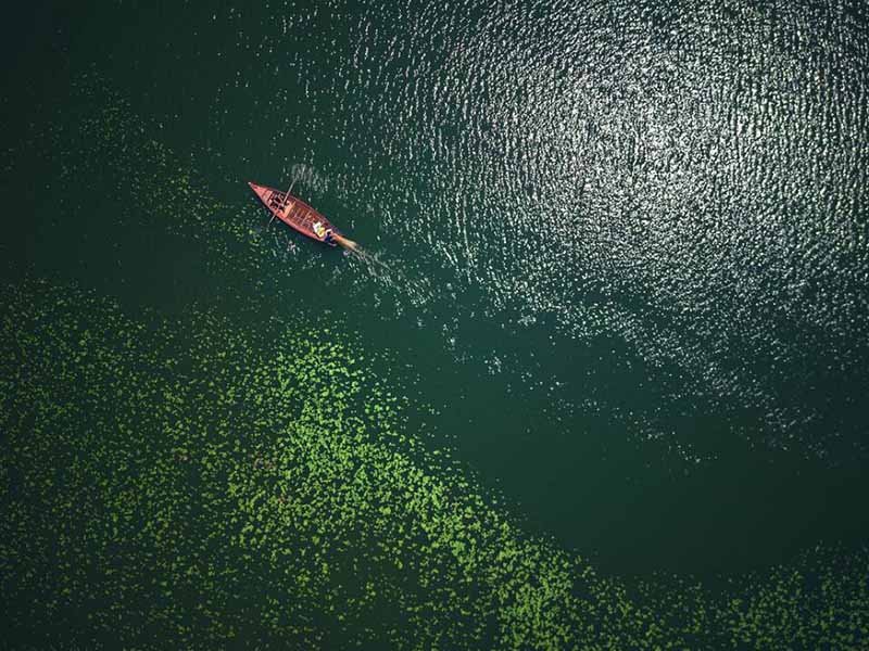 水體葉綠素a測定方法有哪些（水質葉綠素a測定步驟）
