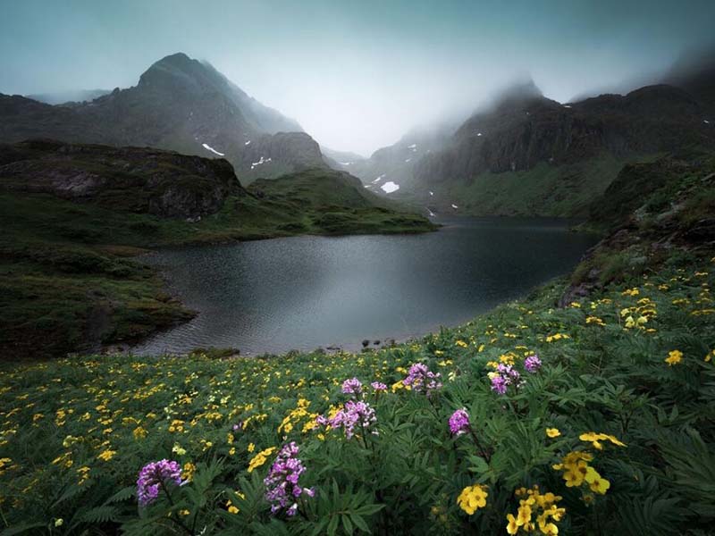 便攜式水質(zhì)檢測儀使用方法（便攜式水質(zhì)檢測儀功能）