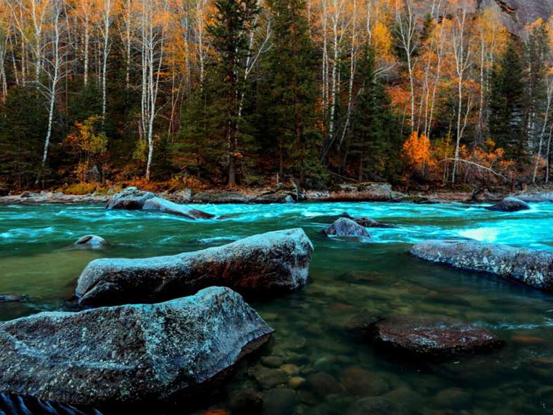 水質(zhì)六價(jià)鉻檢測(cè)儀使用說(shuō)明書（水質(zhì)六價(jià)鉻檢測(cè)儀原理）