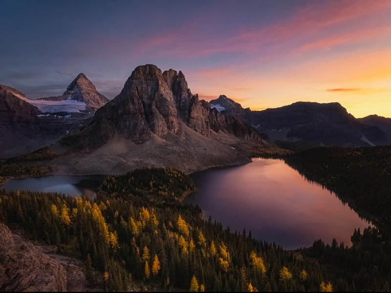 COD在線分析儀操作步驟（COD在線分析儀數(shù)據(jù)偏高的原因）