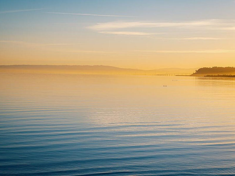 如何減少總氮檢測偏差（總氮低于氨氮的原因）