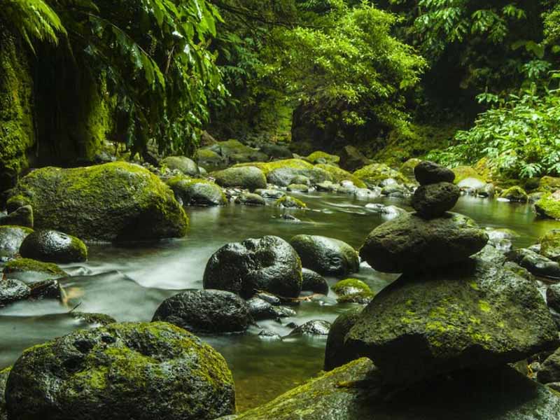 地表水葉綠素a測(cè)定儀原理（葉綠素a測(cè)定儀使用方法）