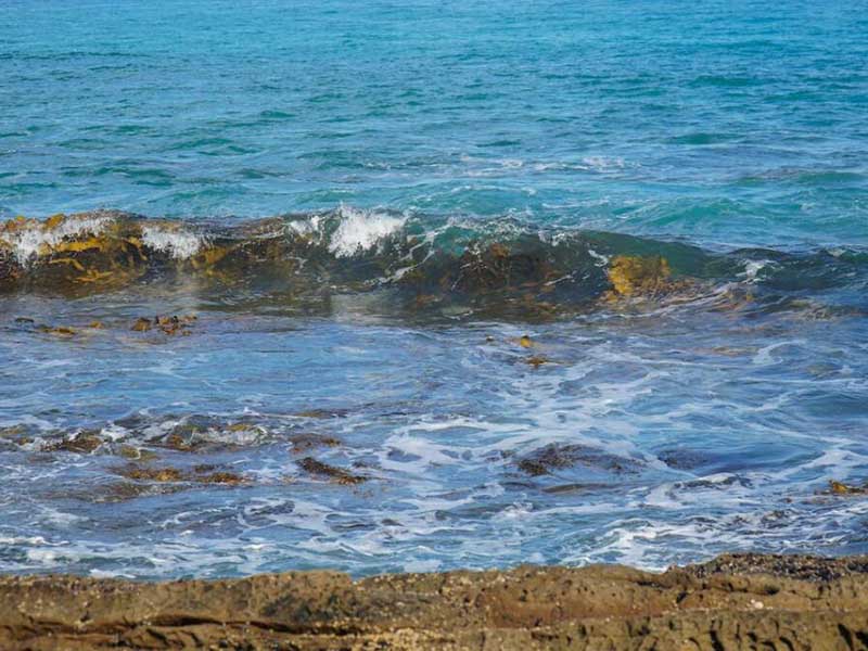 水質(zhì)檢測(cè)中的TOC是什么（水質(zhì)TOC測(cè)定方法及步驟）