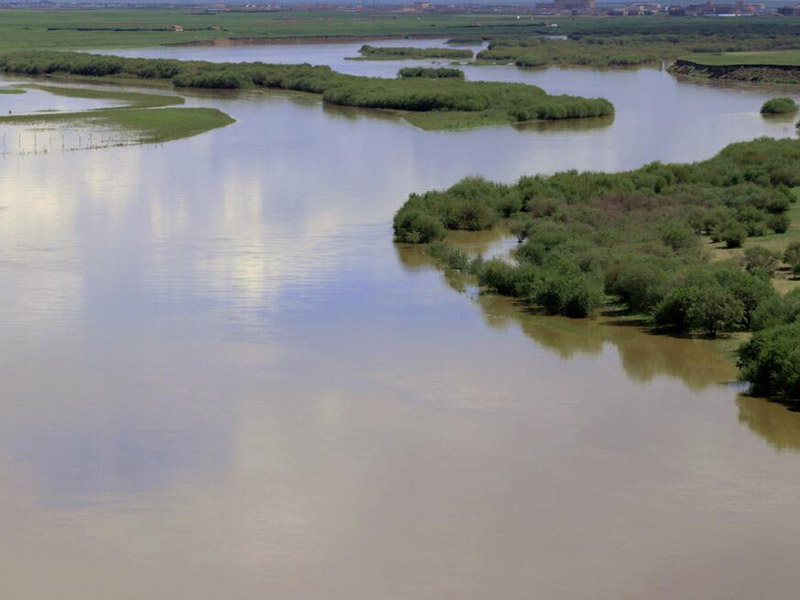 氨氮快速測定儀檢測出9999是什么原因（氨氮快速測定儀準(zhǔn)確嗎）