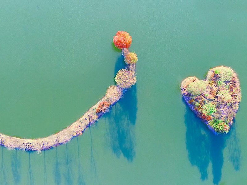 水質(zhì)監(jiān)測(cè)設(shè)備日常運(yùn)維管理要點(diǎn)（水質(zhì)監(jiān)測(cè)設(shè)備廠(chǎng)家）