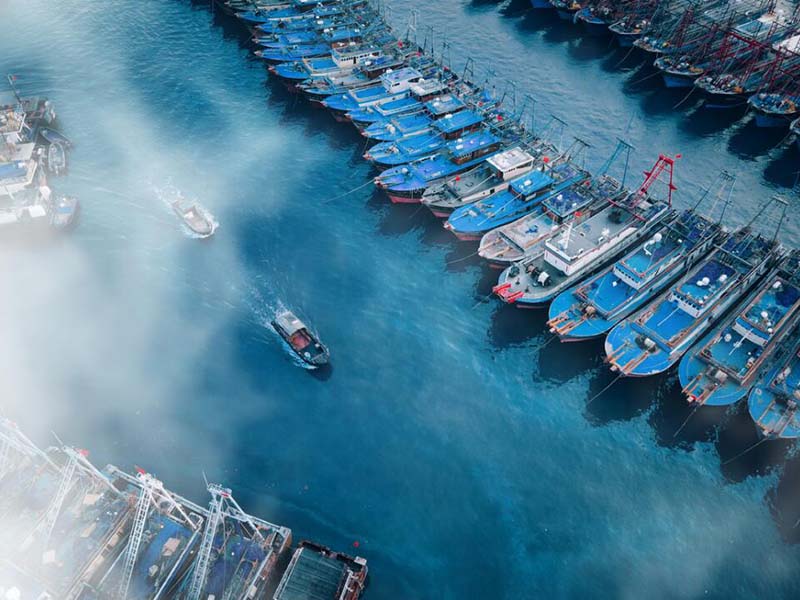 池塘氨氮來源及危害(水產(chǎn)養(yǎng)殖降低氨氮最有效的方法)