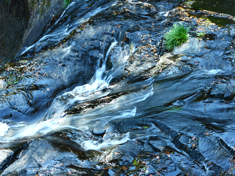 我國地下水砷離子來源（高砷地下水的修復方法）