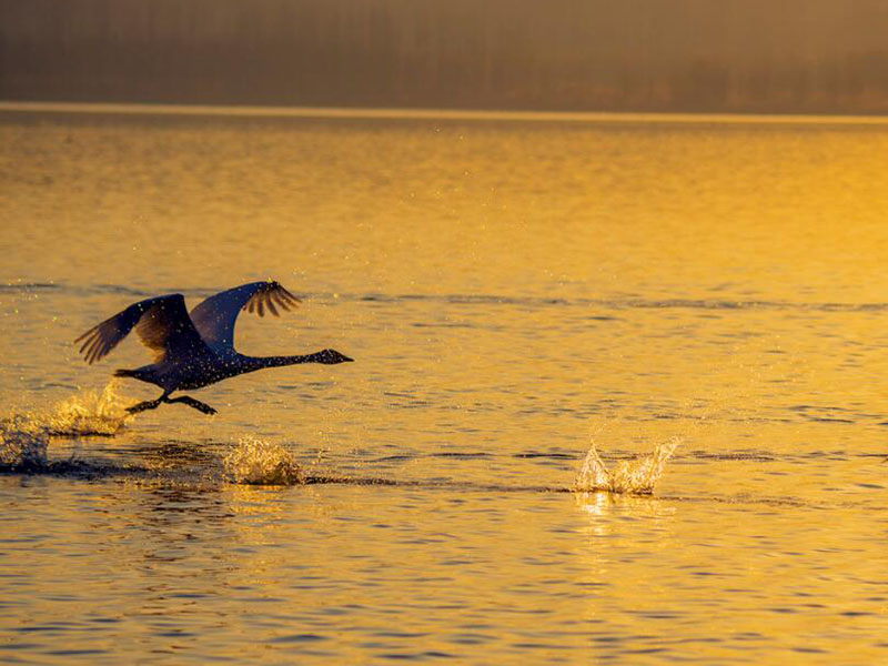 水產(chǎn)養(yǎng)殖水質(zhì)檢測(cè)儀說(shuō)明書(shū)（水產(chǎn)養(yǎng)殖水質(zhì)檢測(cè)儀使用方法圖解）