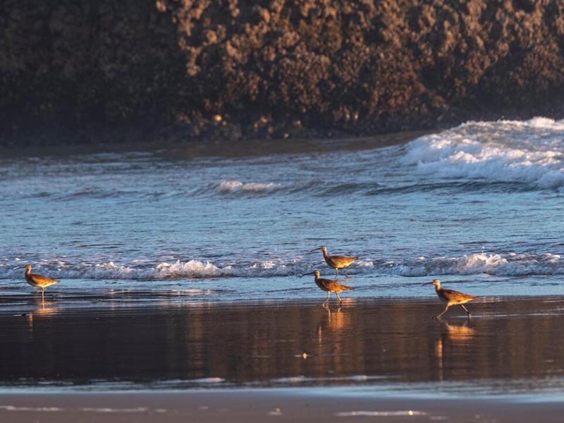 雨天溢流污水濃度高如何應(yīng)對（雨天和晴天執(zhí)行不同污水排放標(biāo)準(zhǔn)可行嗎）