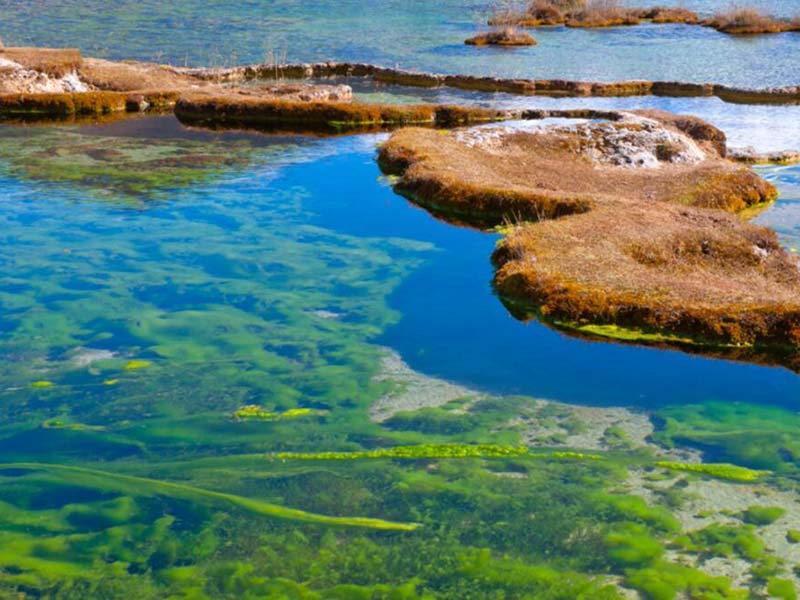 水中葉綠素是什么（水質(zhì)葉綠素監(jiān)測方法）