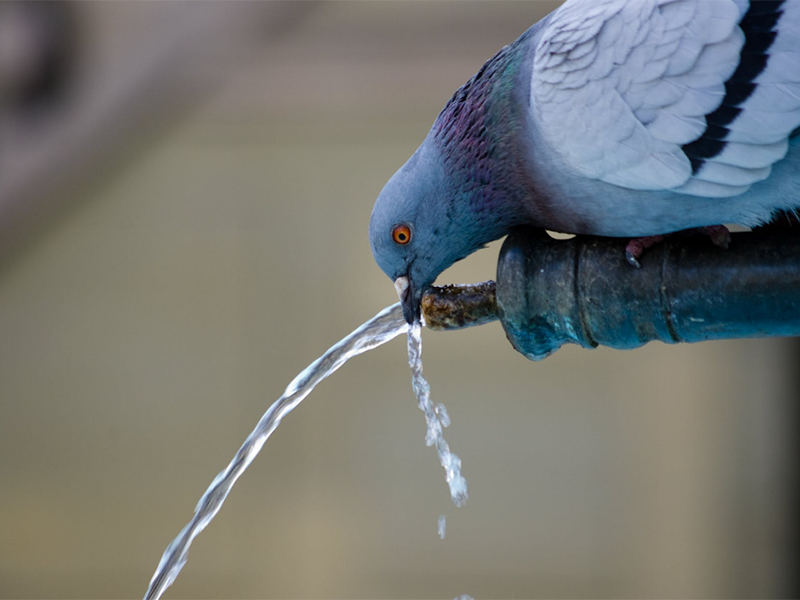 瞬時(shí)水樣和混合水樣分別是什么（廢水水樣應(yīng)采集瞬時(shí)水樣還是混合水樣）