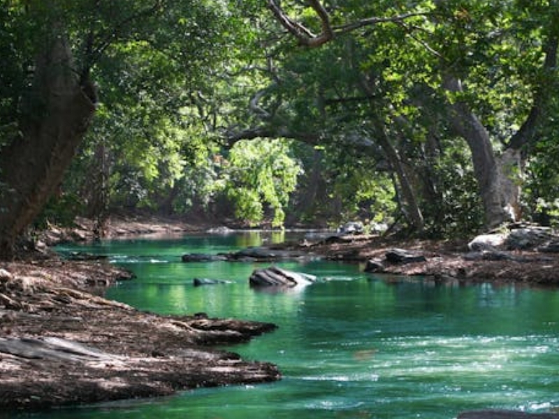 臭氧在水處理中的作用（水質(zhì)臭氧檢測儀的工作原理）