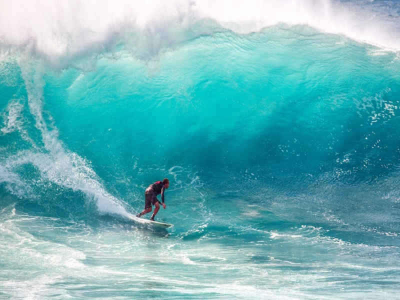 冬季水產(chǎn)養(yǎng)殖面臨的挑戰(zhàn)（冬季水產(chǎn)養(yǎng)殖水質(zhì)需要注意哪些指標(biāo)異常）