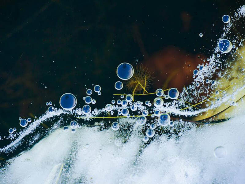 水質(zhì)微生物檢測(cè)基本原理(水質(zhì)常規(guī)微生物檢測(cè)指標(biāo)有哪些)