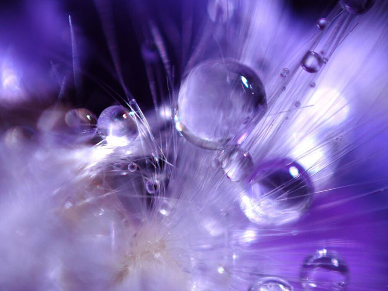 COD預(yù)制試劑使用常見(jiàn)問(wèn)題（COD檢測(cè)常見(jiàn)問(wèn)題的解決辦法）