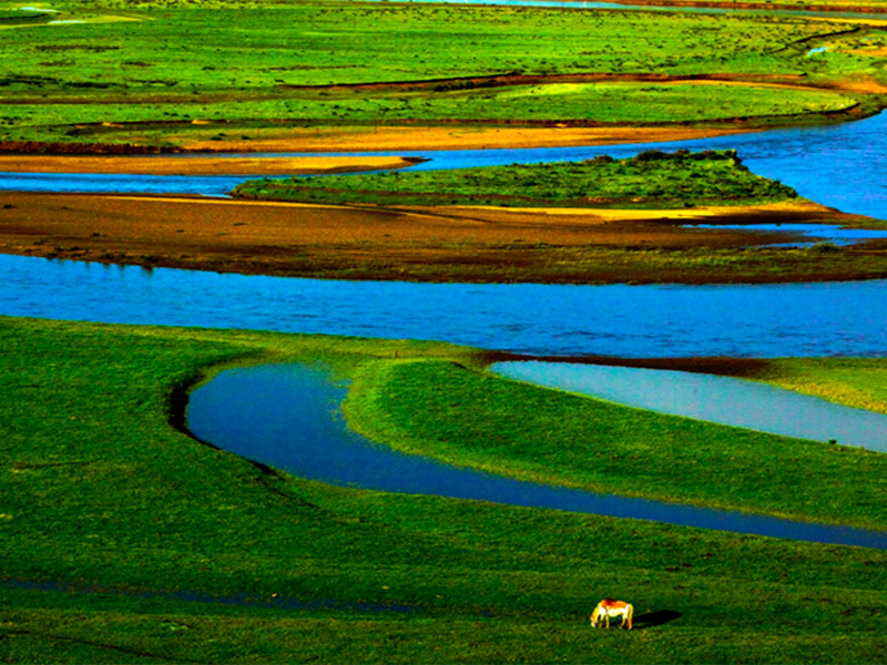水質(zhì)總氮超標(biāo)的原因（水質(zhì)總氮超標(biāo)的處理方法）
