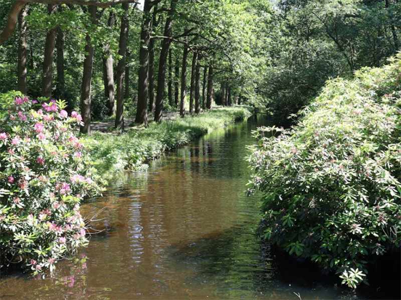 水中藍(lán)綠藻的特性與危害?（藍(lán)綠藻的檢測(cè)與識(shí)別?）