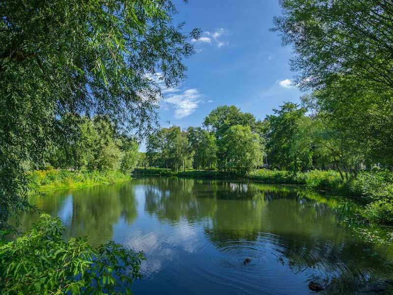 水體富營(yíng)養(yǎng)化有哪些危害（水體富營(yíng)養(yǎng)化治理措施）