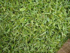 怎樣檢測(cè)茶葉中的茶多酚含量？