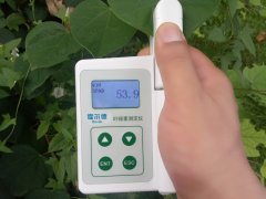 葉綠素含量測定儀，即時(shí)測量植物的綠色程度